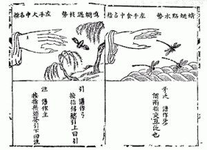 Kiinalaista luuttunotaatiota 1600-luvun alun oppikirjasta. Kuva ylhäällä vasemmalla kertoo, että liukuman kahden nuotin välillä tulee muistuttaa kaskaan hyppäämistä oksalta toiselle.
