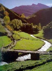 Galicia. Kuva: Louis S. Luzzo Galicia. Kuva: Louis S. Luzzo