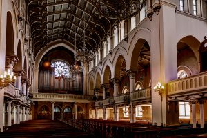 Kuva © Timo Viitanen